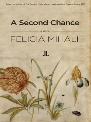 cover image of A Second Chance